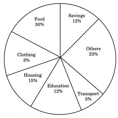 Family annual expenditure and savings pie chart